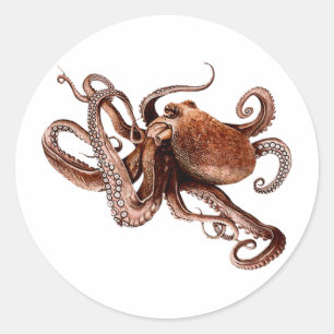 Iker The Octopus Classic Round Sticker