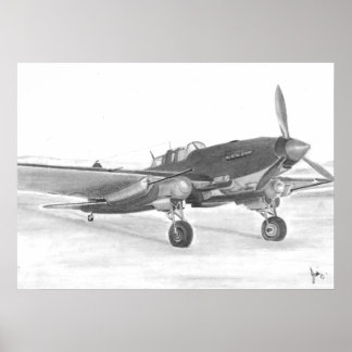 IL2 Sturmovik picture Poster