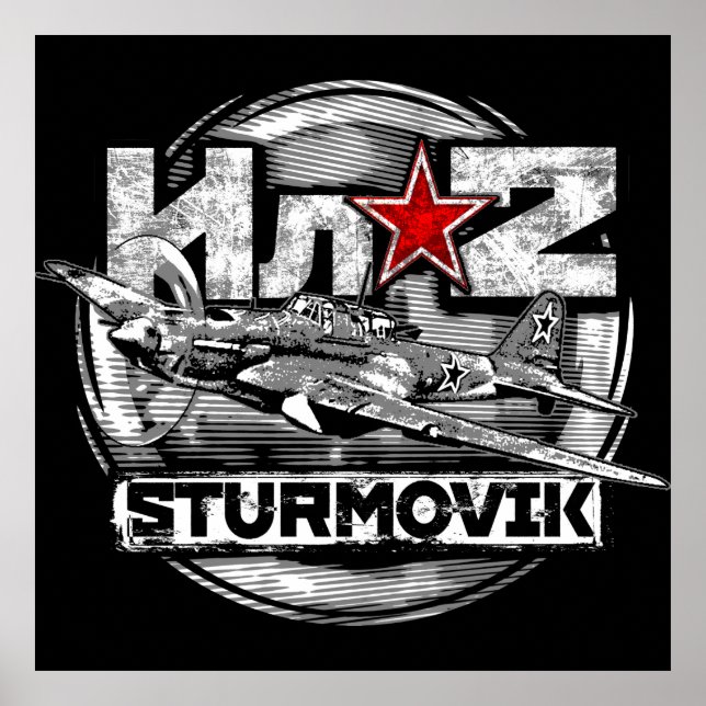 Il-2 Shturmovik Poster (Front)