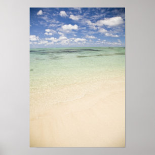 Ile Aux Cerf, most popular day trip for Poster
