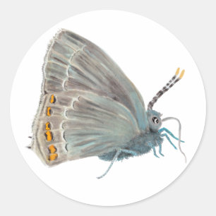 Ilex Hairstreak Butterfly Satyrium ilicis Classic Round Sticker