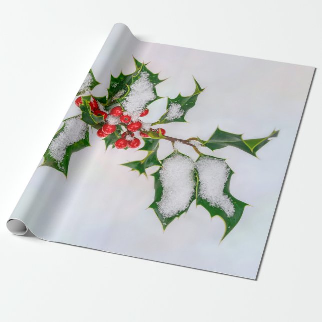 Ilex Red Christmas Holly Berries in Winter Snow -- Wrapping Paper (Unrolled)