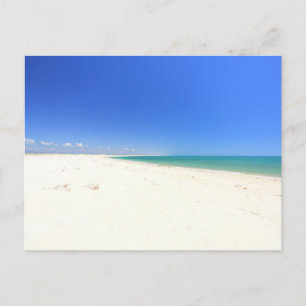 Ilha da Armona Postcard