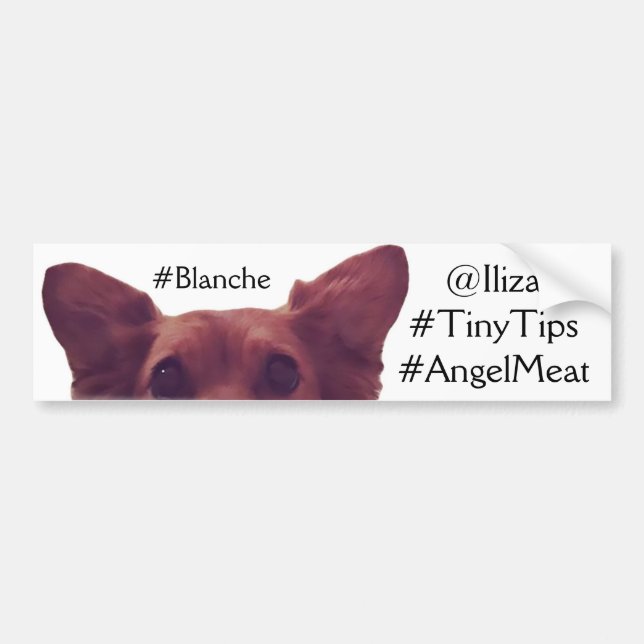 Iliza Shlesinger Blanche Bumper Sticker (Front)