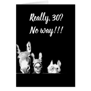 **I'LL BE A DONKEY'S UNCLE** YOU CAN'T BE *30*