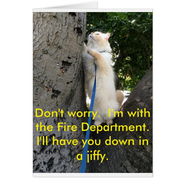 I'll have you down in a jiffy. (Front)