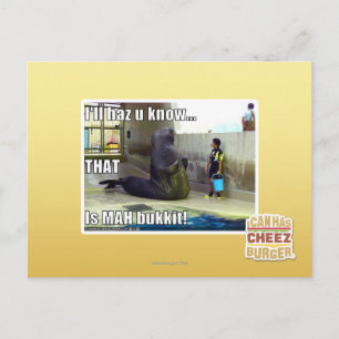 I'll haz u know postcard