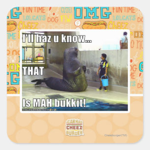 I'll haz u know square sticker