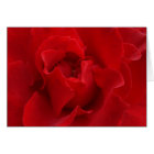 I'll Love You Always