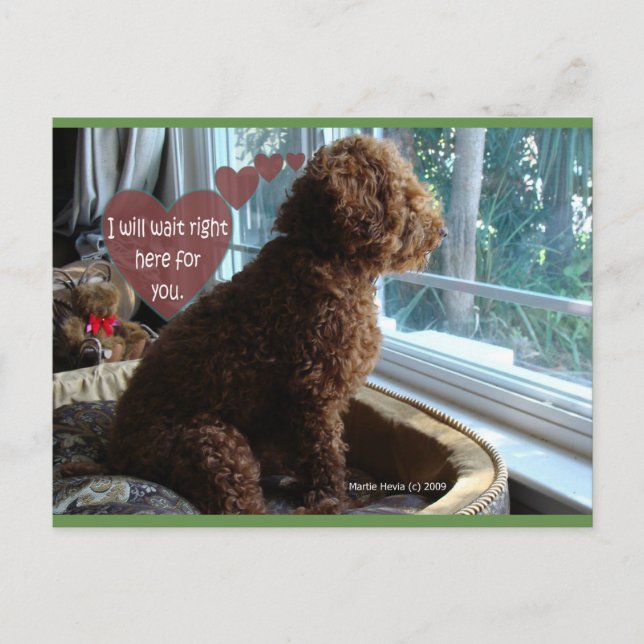 I'll Wait Right Here | Blue Beach Song™ Postcard (Front)