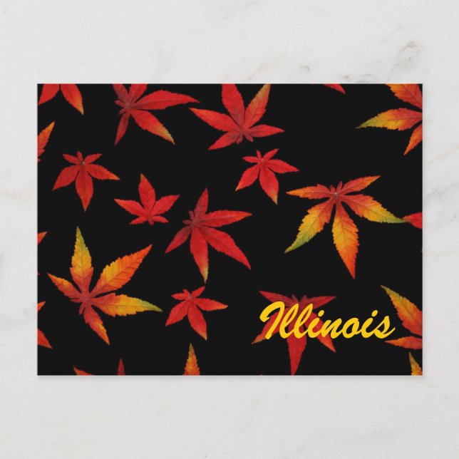 Illinois Autumn Leaves Postcard (Front)