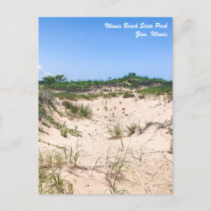 Illinois Beach State Park Postcard