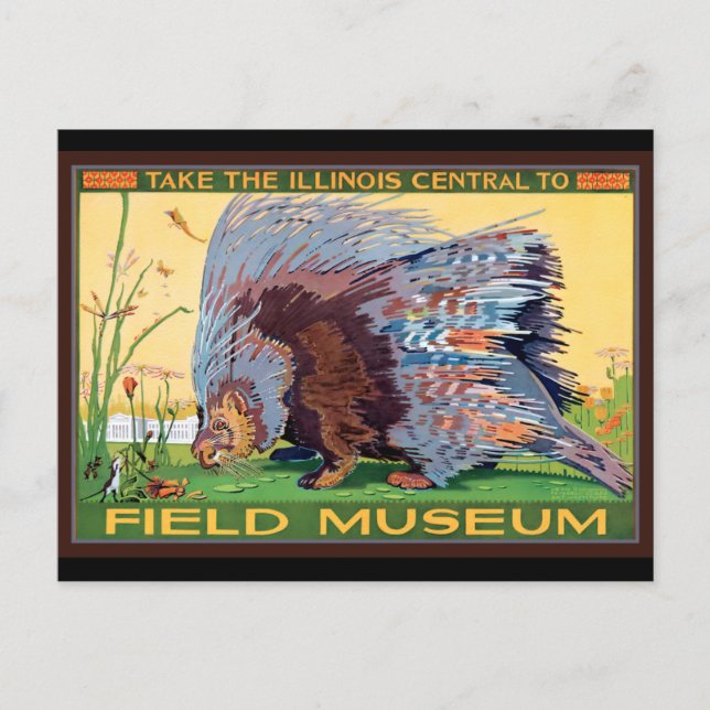 Illinois Central to Field Museum Porcupine Postcard (Front)