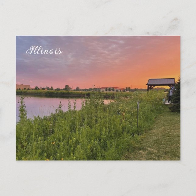 Illinois Field Postcard (Front)