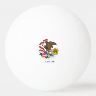 Illinois Flag Throw Pillow Ping Pong Ball
