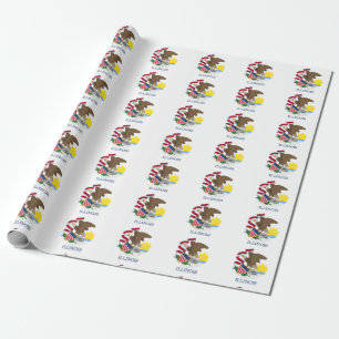 Illinois flag wrapping paper