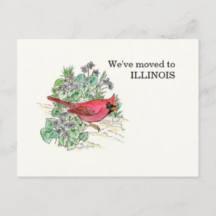 Illinois Postcard