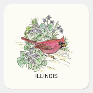 Illinois state bird and flower square sticker