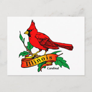 Illinois State Bird - Cardinal Postcard