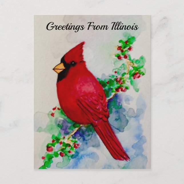 Illinois State Bird Handsome Cardinal Postcard (Front)