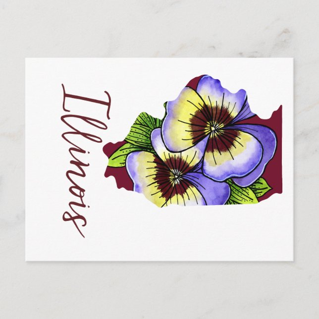 Illinois State Flower Postcard (Front)