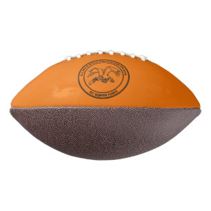 Illinois State Politicians Prison Football