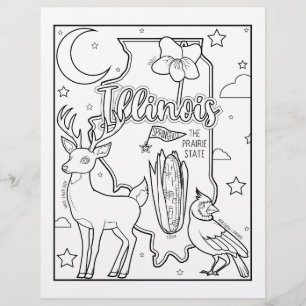 illinois state shape and facts colouring page