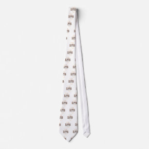 Illinois Tie