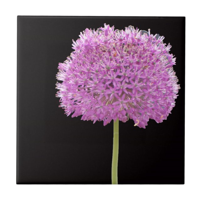 Illium Summer Spring Flower -Irish Design Ceramic Tile (Front)