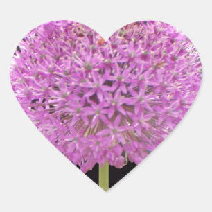 Illium Summer Spring Flower -Irish Design Heart Sticker