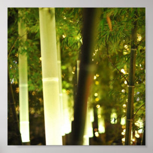 Illuminated Bamboo. Tokyo, Japan. Poster