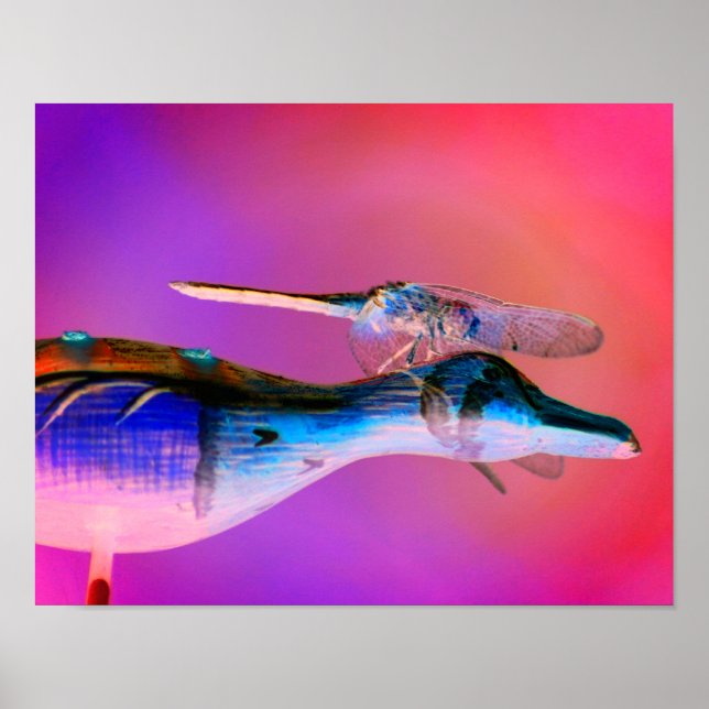 Illuminated Dragonfly Co Pilot Abstract Nature  Poster (Front)