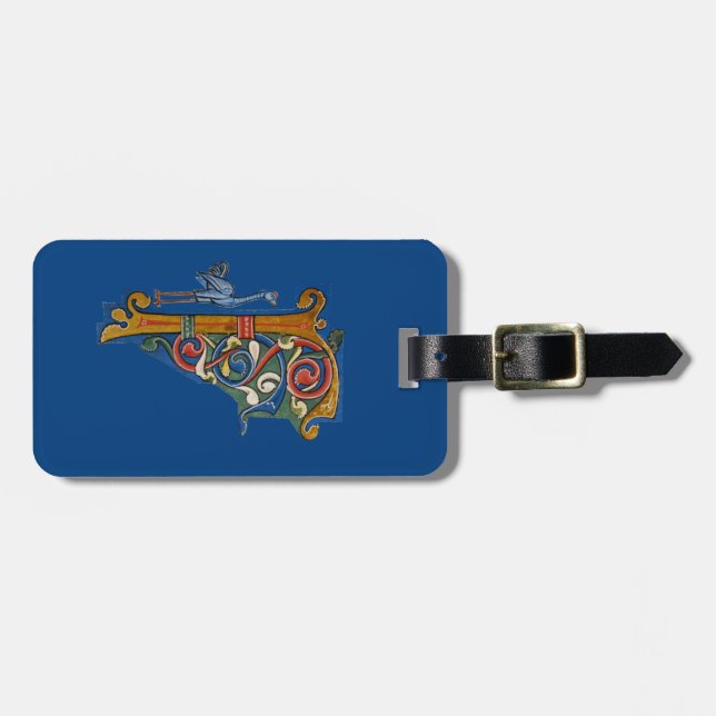 Illuminated Initial F luggage tag (Front Horizontal)