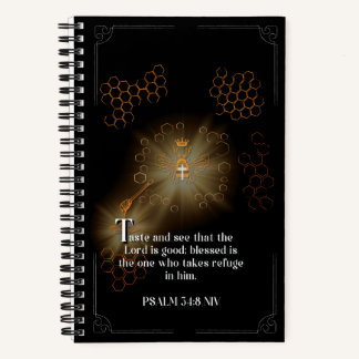 Illuminated Journal T