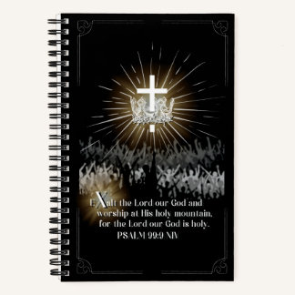 Illuminated Journal X