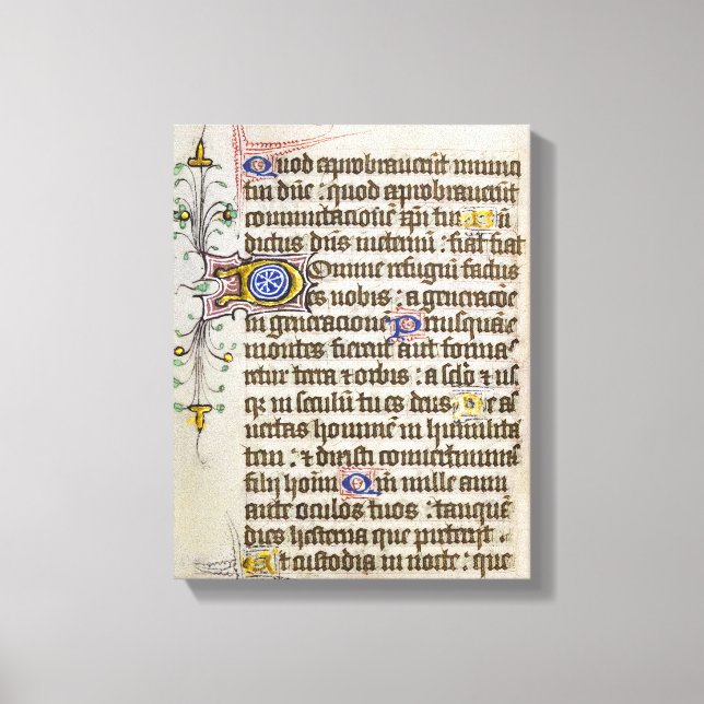 Illuminated Manuscript Canvas Print (Front)