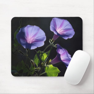 Illuminated Morning Glory Flowers Mouse Pad