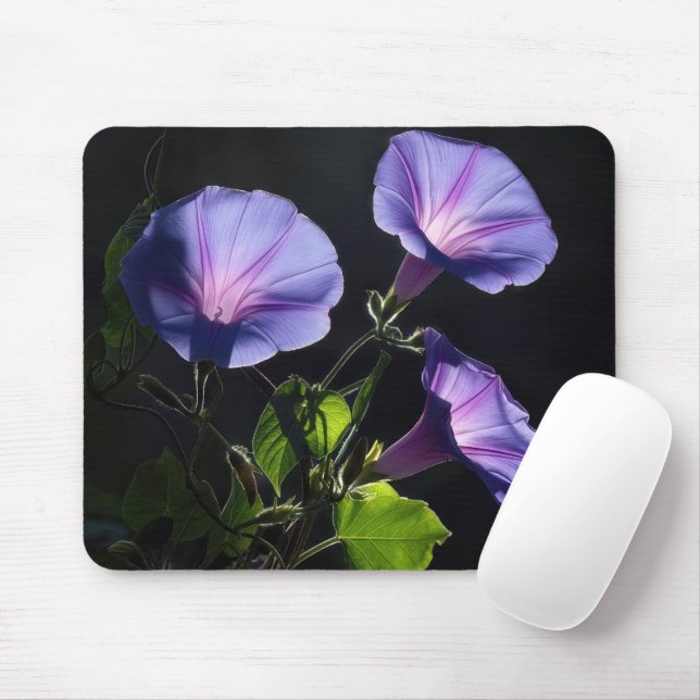 Illuminated Morning Glory Flowers Mouse Pad (With Mouse)