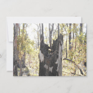 Illuminated Three Card