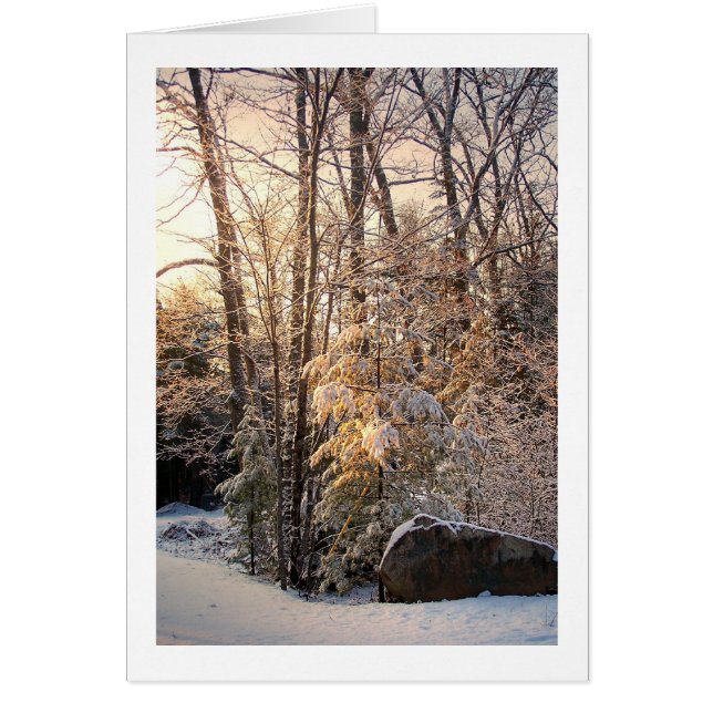 Illuminated Winter (Front)