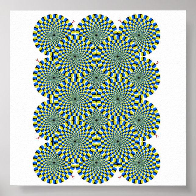 illusion poster (Front)