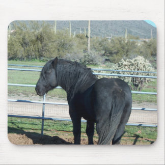 Illusion the Percheron Mouse Pad