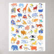 Illustrated Animals of EyeAmArt Collection