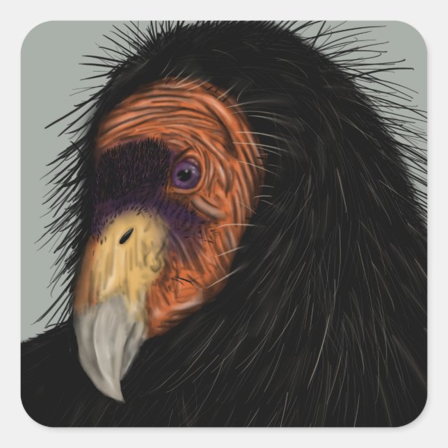 Illustrated California Condor Square Sticker (Front)