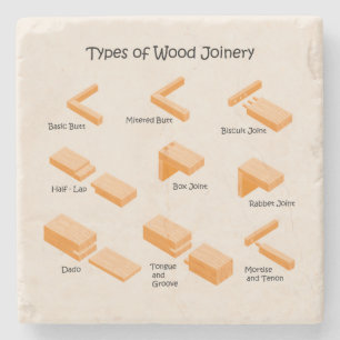 Illustrated Educational Coaster