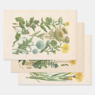 Illustrated Flora of Central Europe by Gustav Hegi Wrapping Paper Sheet