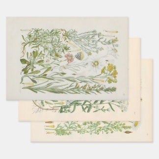 Illustrated Flora of Central Europe by Gustav Hegi Wrapping Paper Sheet