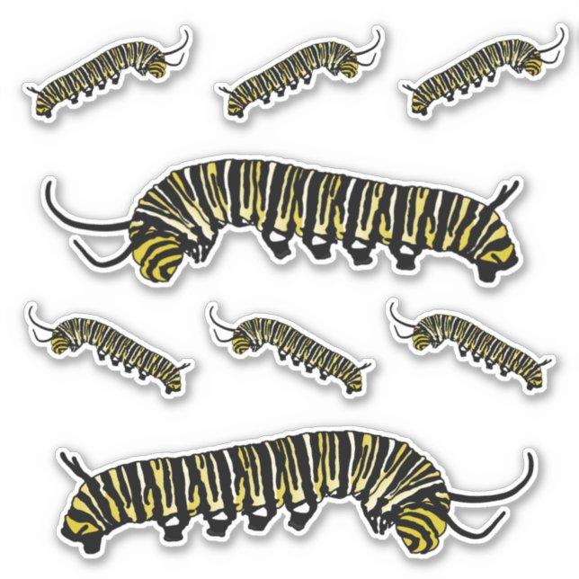 Illustrated Monarch Butterfly Caterpillar Stickers (Front)