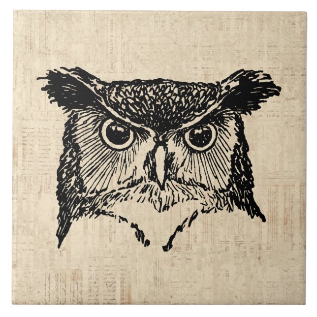 Illustrated Owl Art Ceramic Tile (Front)