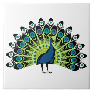 illustrated Peacock Ceramic Tile